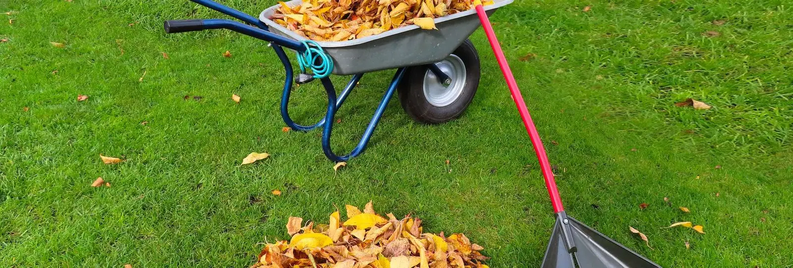 How Does a Wheelbarrow Work?