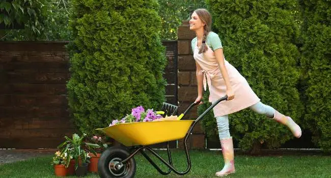 How Is A Wheelbarrow Used?