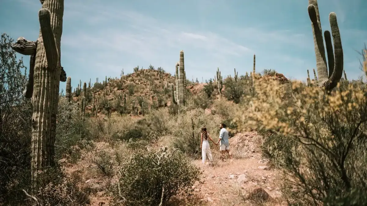How Much Does it Cost To Build a Custom Luxury Home in Arizona?