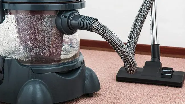 Why Is Moisture Bad for Carpet? How to Remove Moisture
