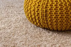 Hydrogen Peroxide on Carpet Hydrogen Peroxide on Carpet